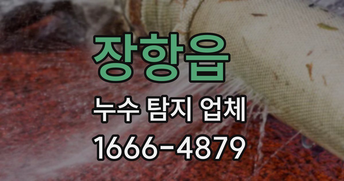 장항읍 누수 탐지 업체