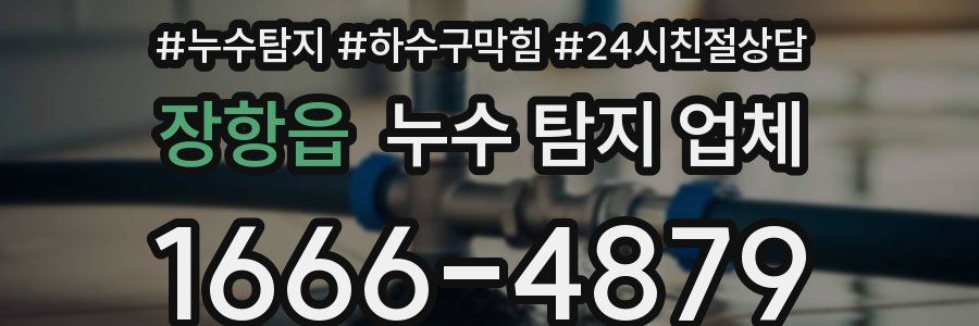 장항읍 누수 탐지 업체