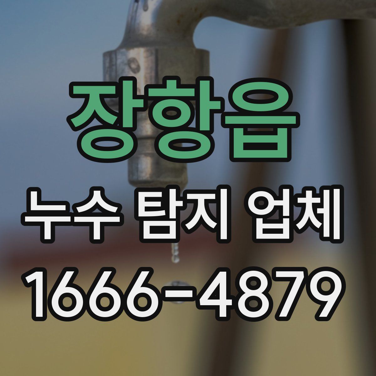장항읍 누수 탐지 업체