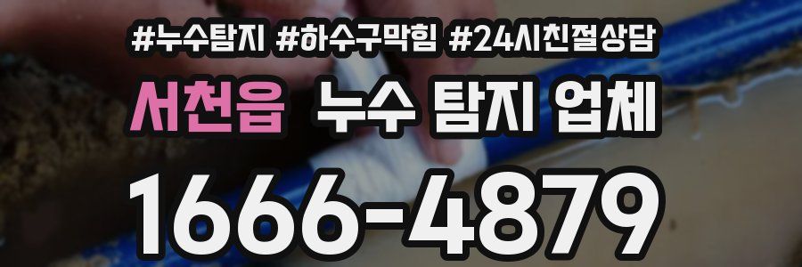 서천읍 누수 탐지 업체