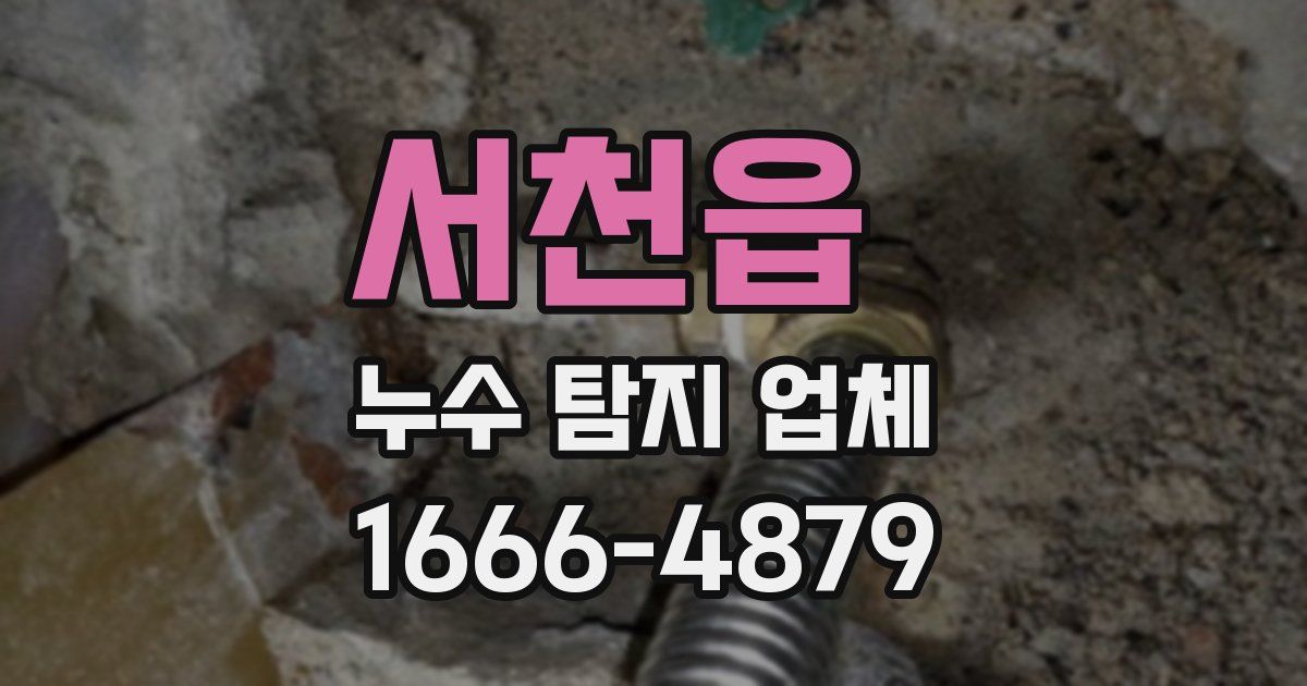 서천읍 누수 탐지 업체