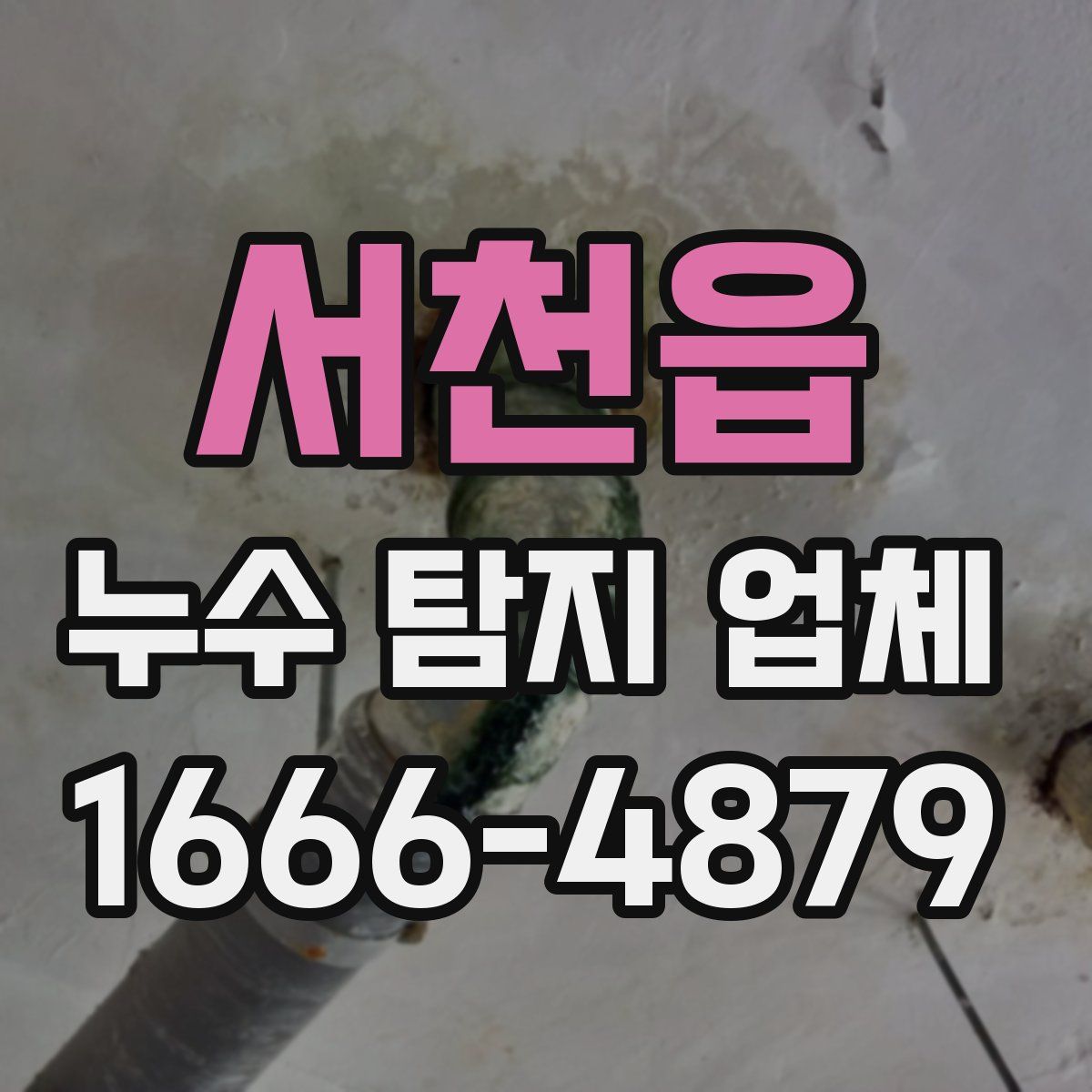 서천읍 누수 탐지 업체