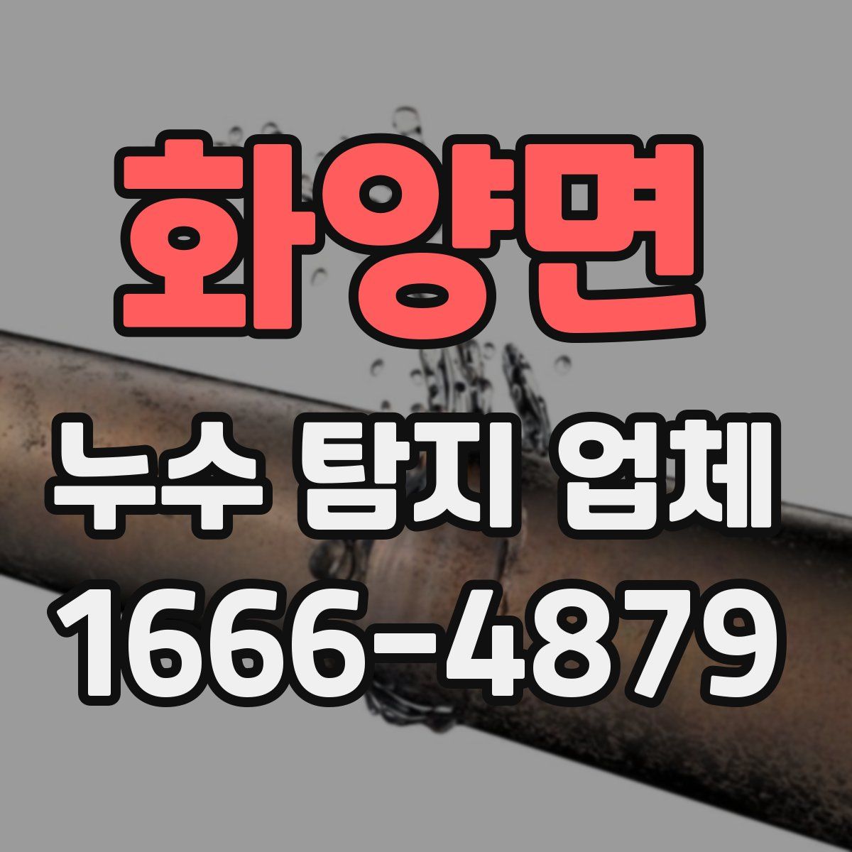 화양면 누수 탐지 업체