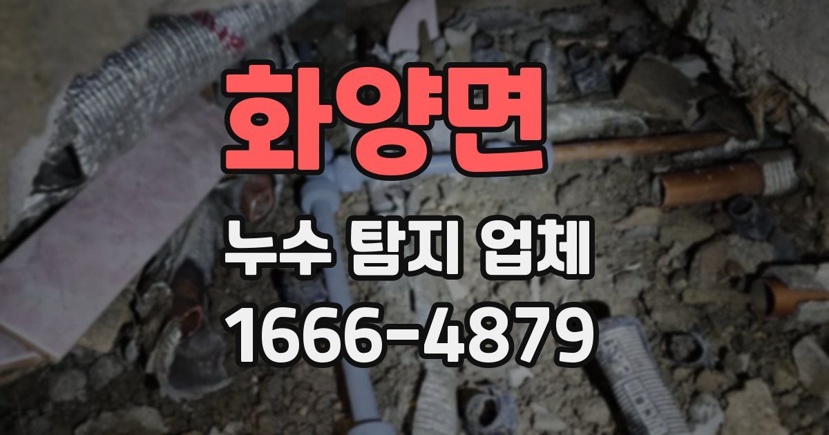 화양면 누수 탐지 업체