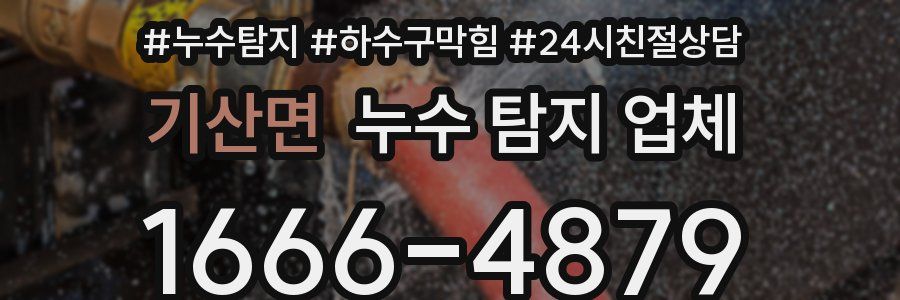 기산면 누수 탐지 업체