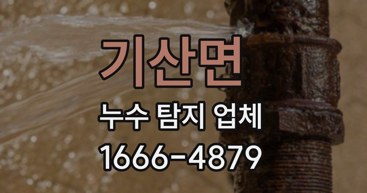 기산면 누수 탐지 업체