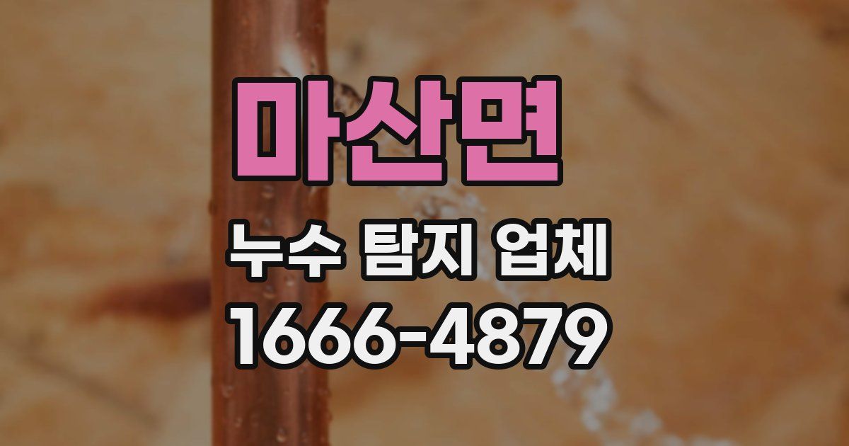 마산면 누수 탐지 업체