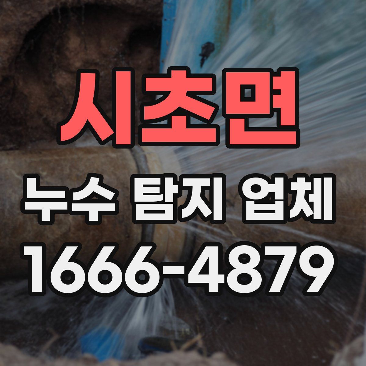시초면 누수 탐지 업체