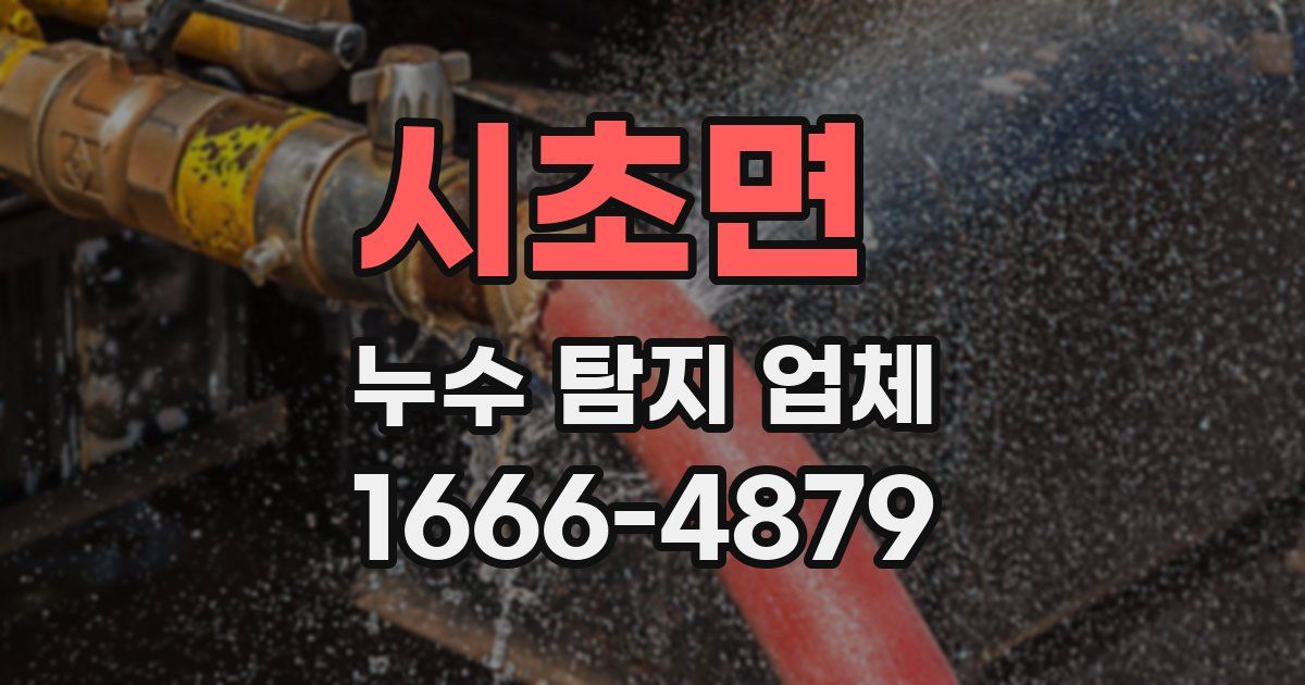 시초면 누수 탐지 업체