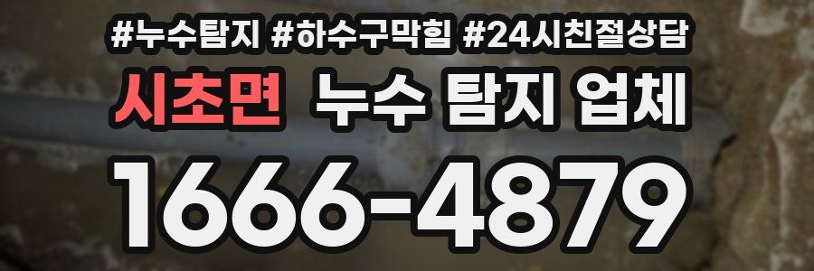 시초면 누수 탐지 업체