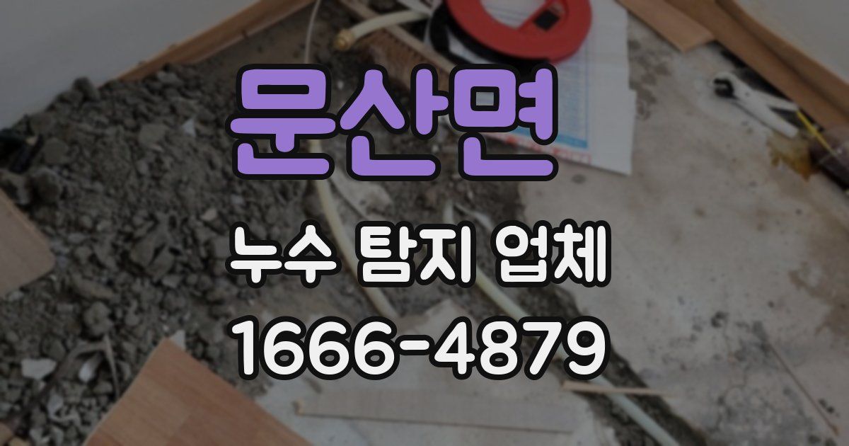 문산면 누수 탐지 업체