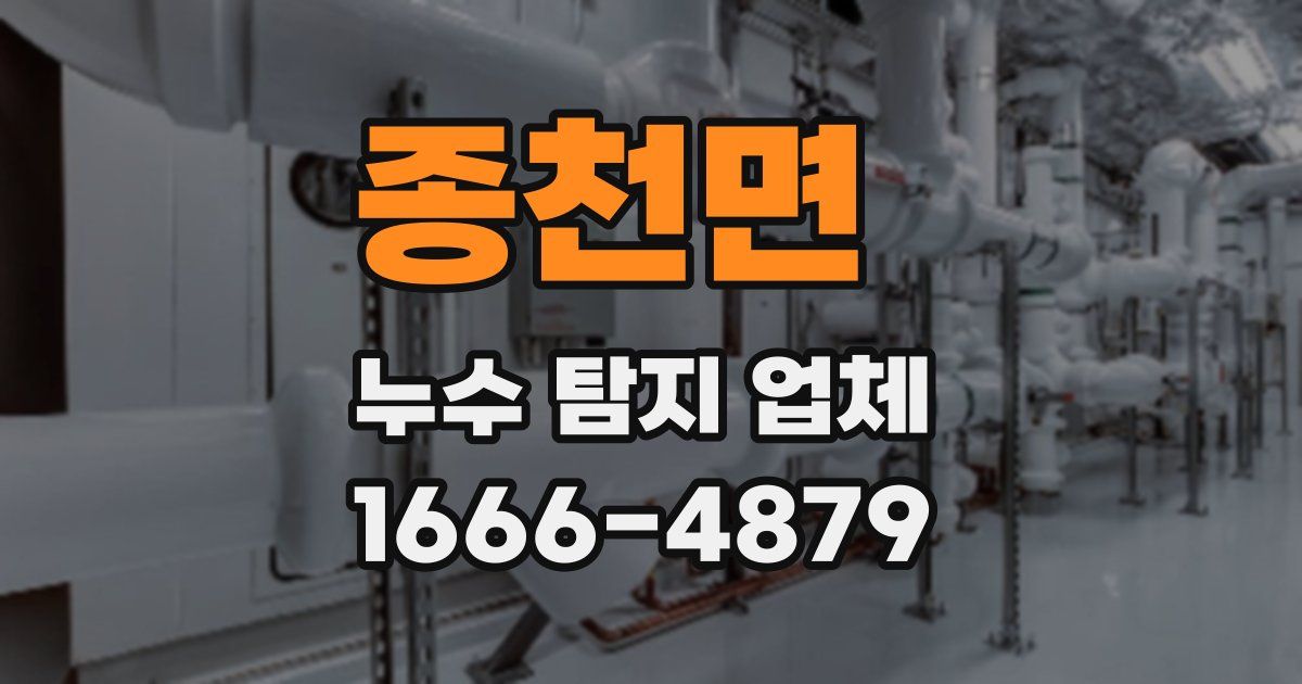종천면 누수 탐지 업체