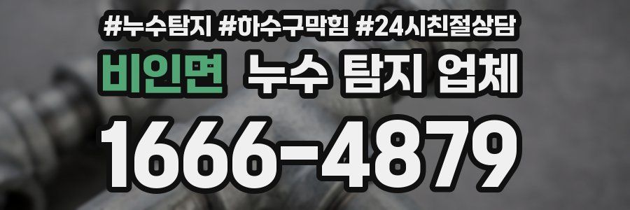 비인면 누수 탐지 업체