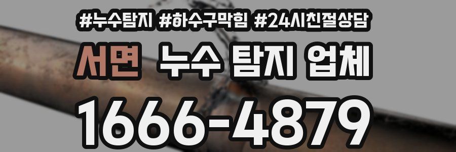 서면 누수 탐지 업체
