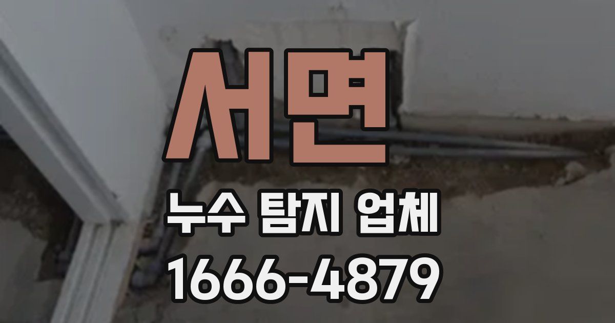 서면 누수 탐지 업체