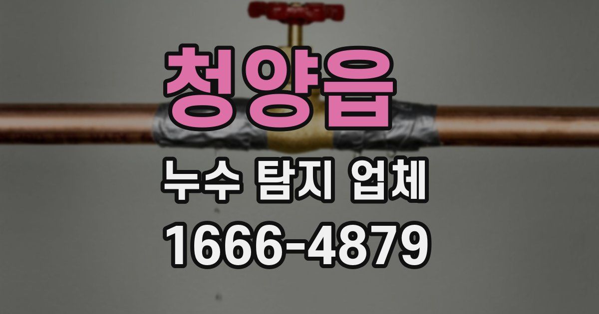 청양읍 누수 탐지 업체