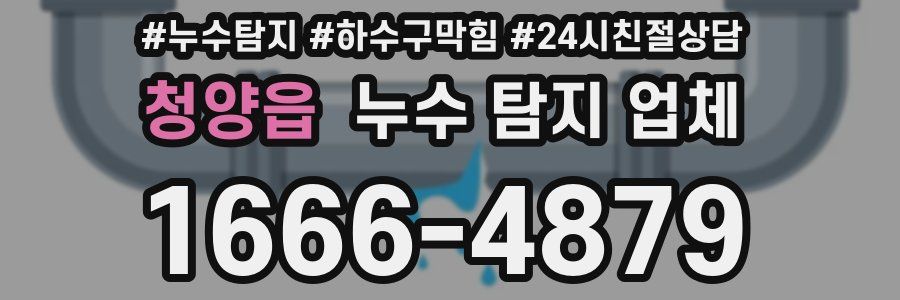 청양읍 누수 탐지 업체