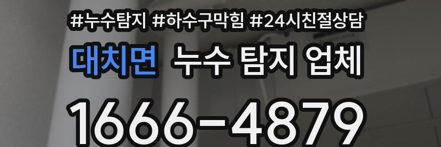대치면 누수 탐지 업체