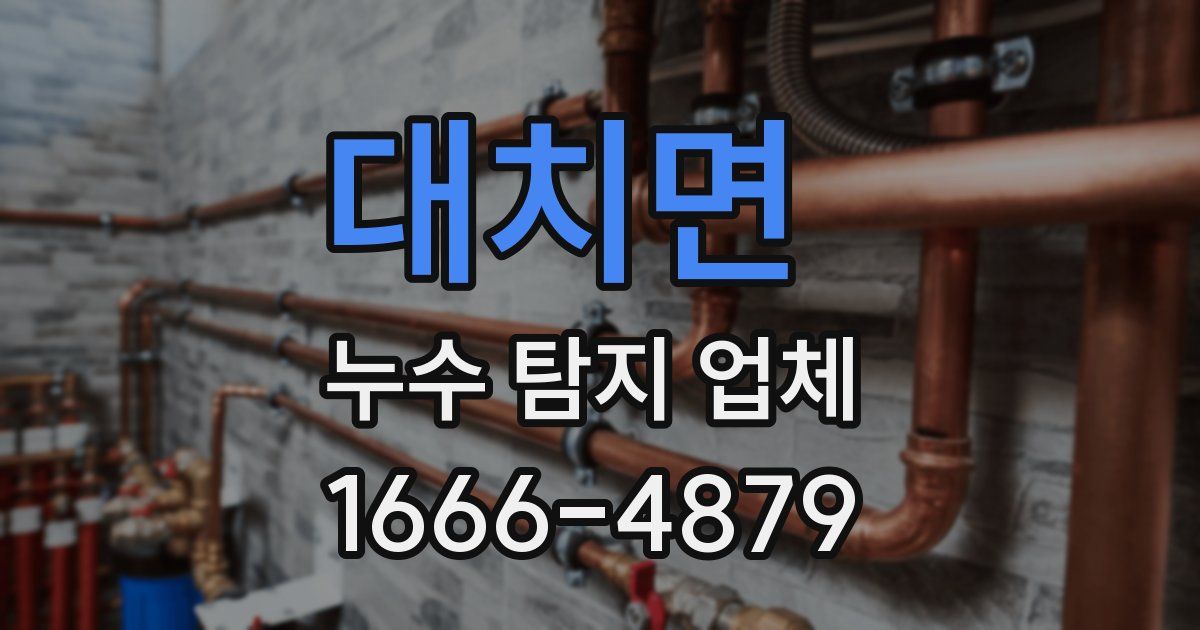 대치면 누수 탐지 업체