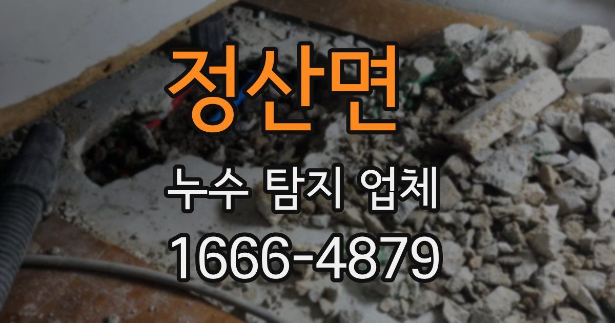 정산면 누수 탐지 업체