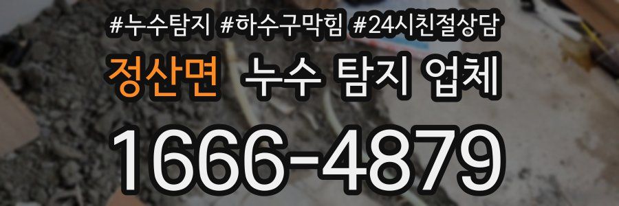 정산면 누수 탐지 업체