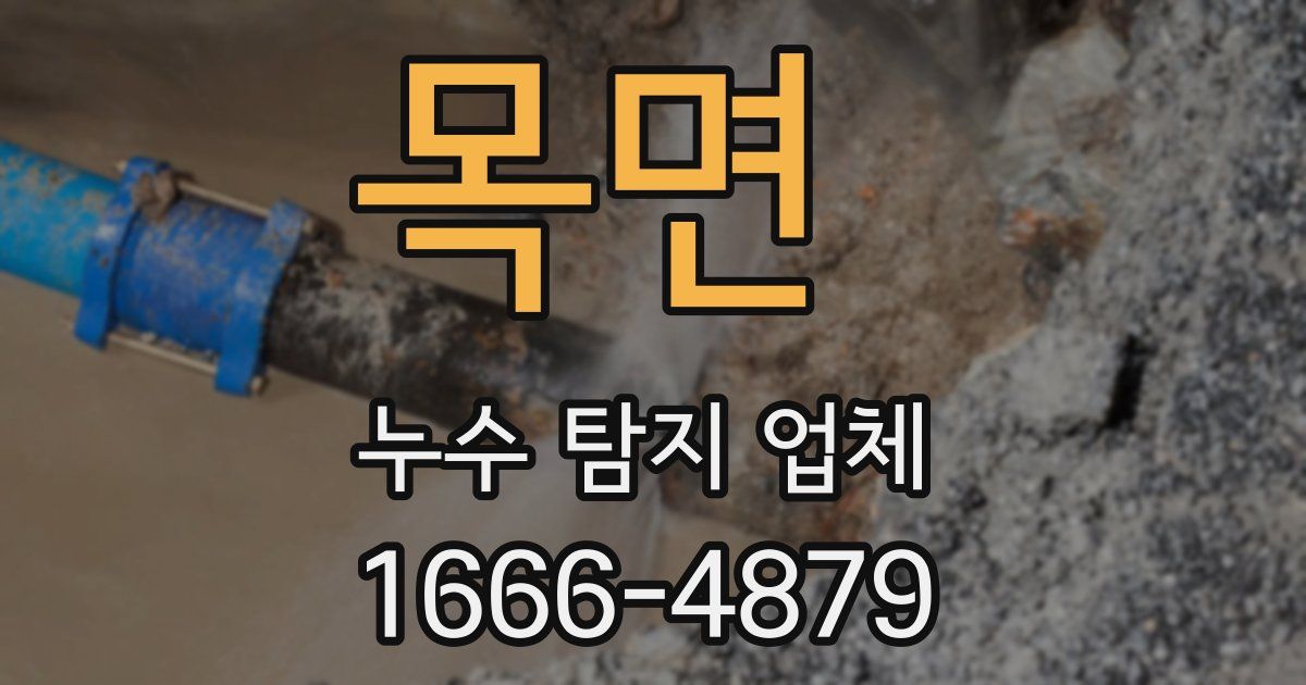목면 누수 탐지 업체