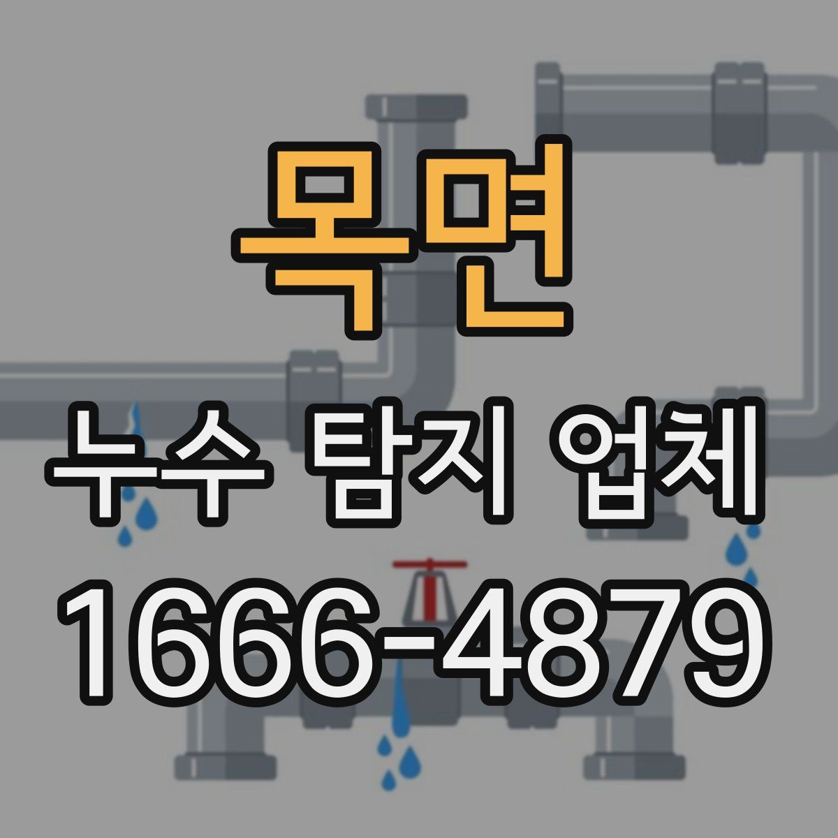 목면 누수 탐지 업체