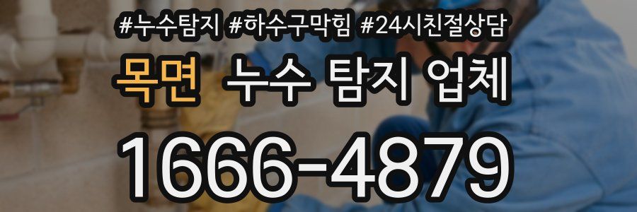 목면 누수 탐지 업체