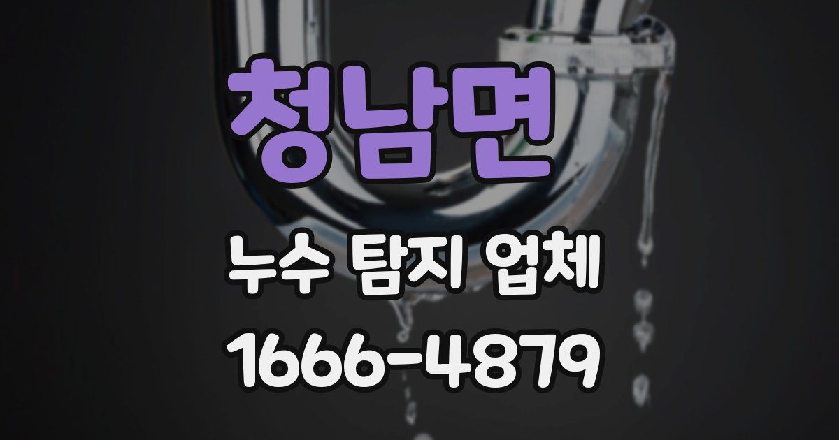 청남면 누수 탐지 업체