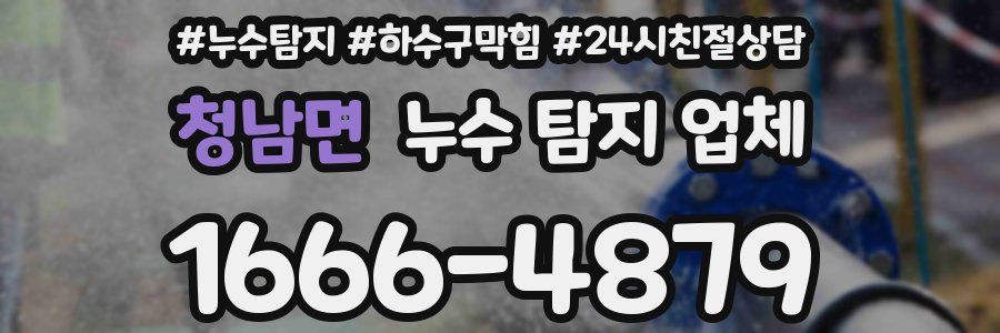 청남면 누수 탐지 업체