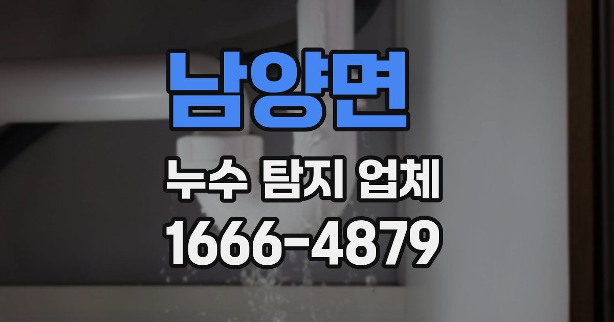남양면 누수 탐지 업체