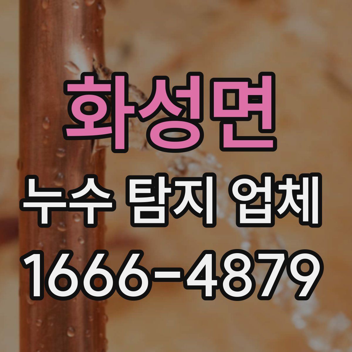 화성면 누수 탐지 업체
