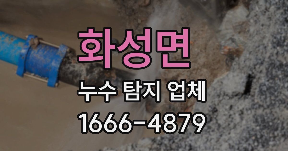 화성면 누수 탐지 업체