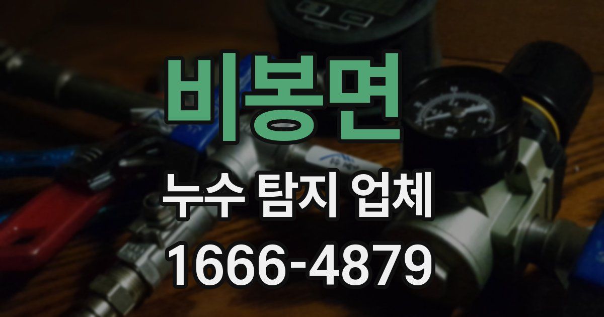 비봉면 누수 탐지 업체