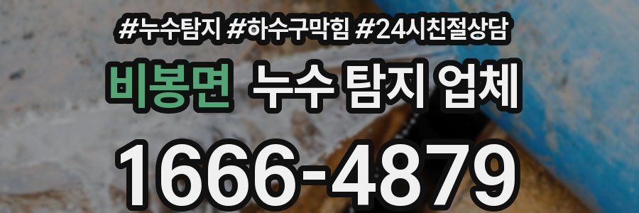 비봉면 누수 탐지 업체