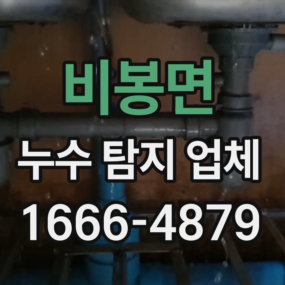 비봉면 누수 탐지 업체