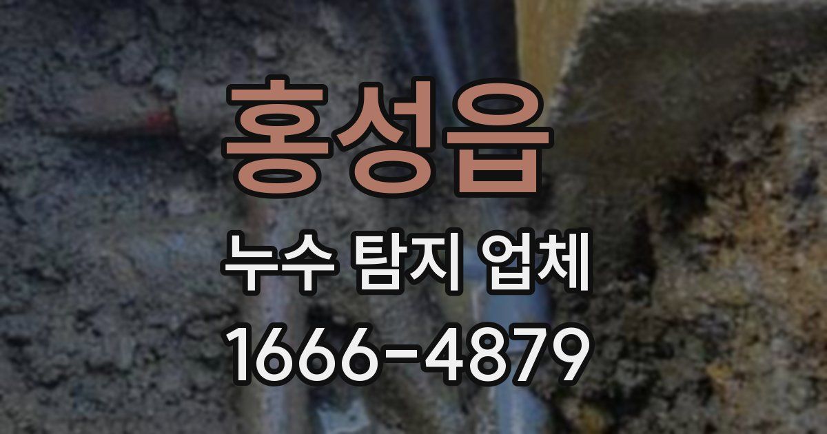홍성읍 누수 탐지 업체