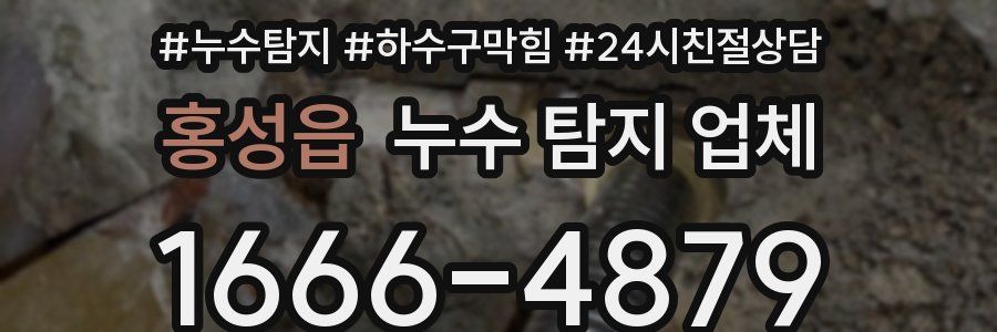 홍성읍 누수 탐지 업체