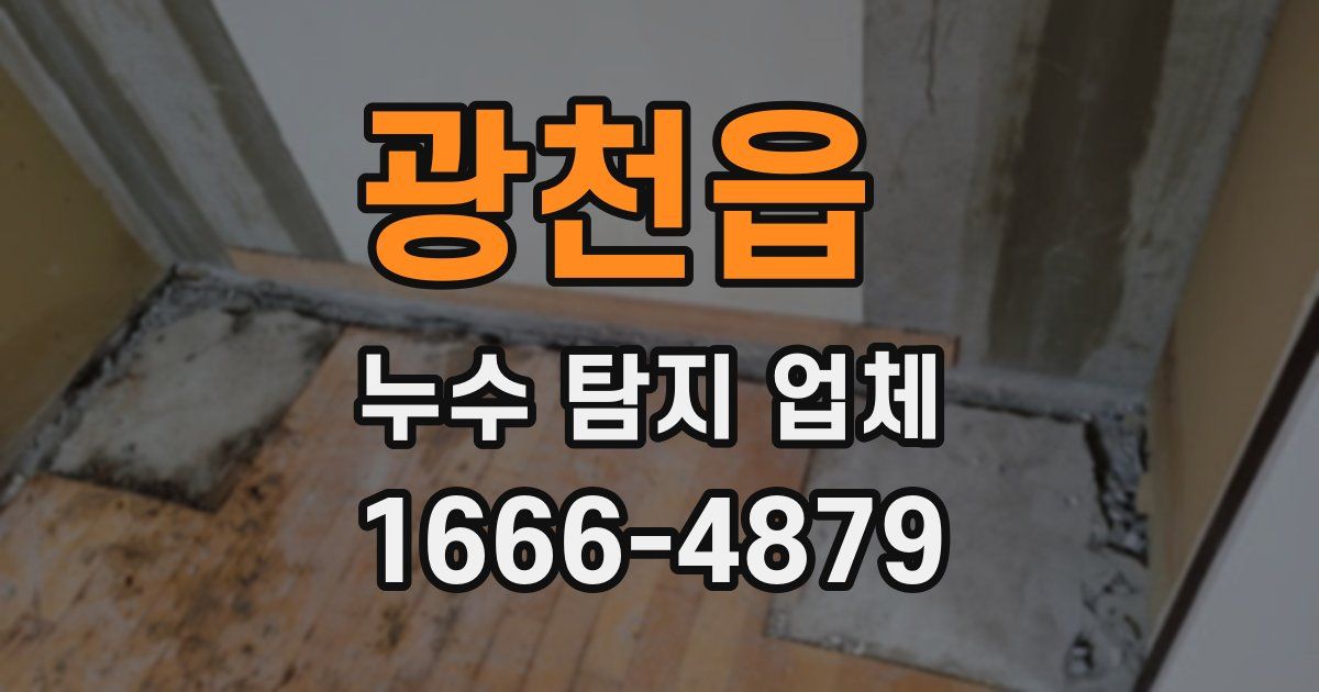 광천읍 누수 탐지 업체