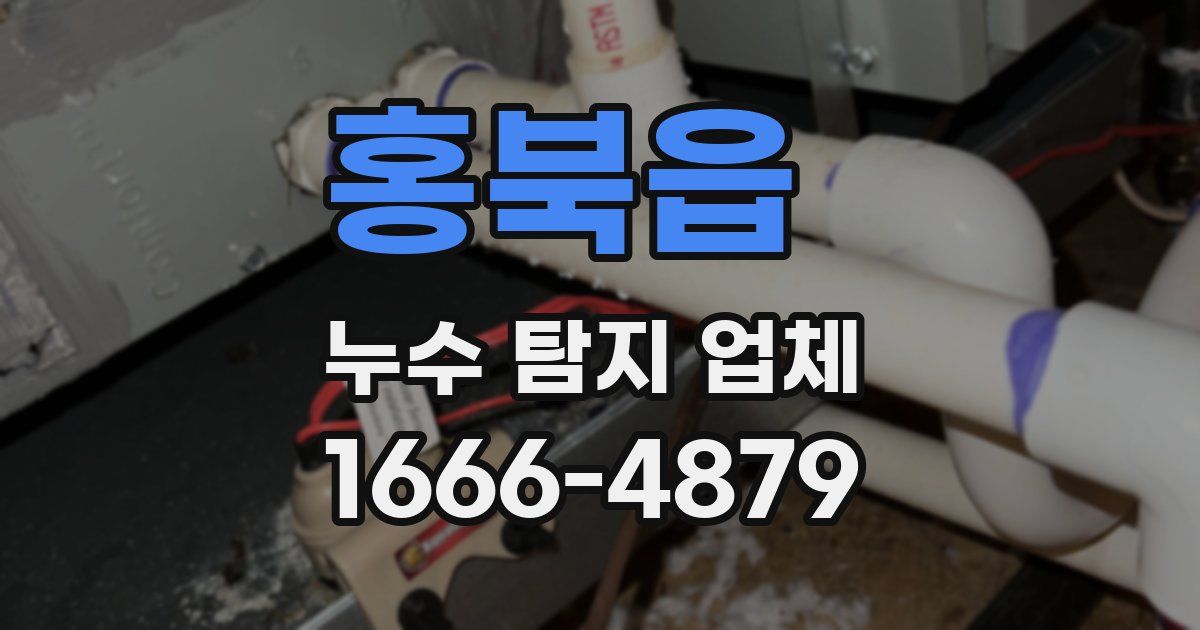 홍북읍 누수 탐지 업체