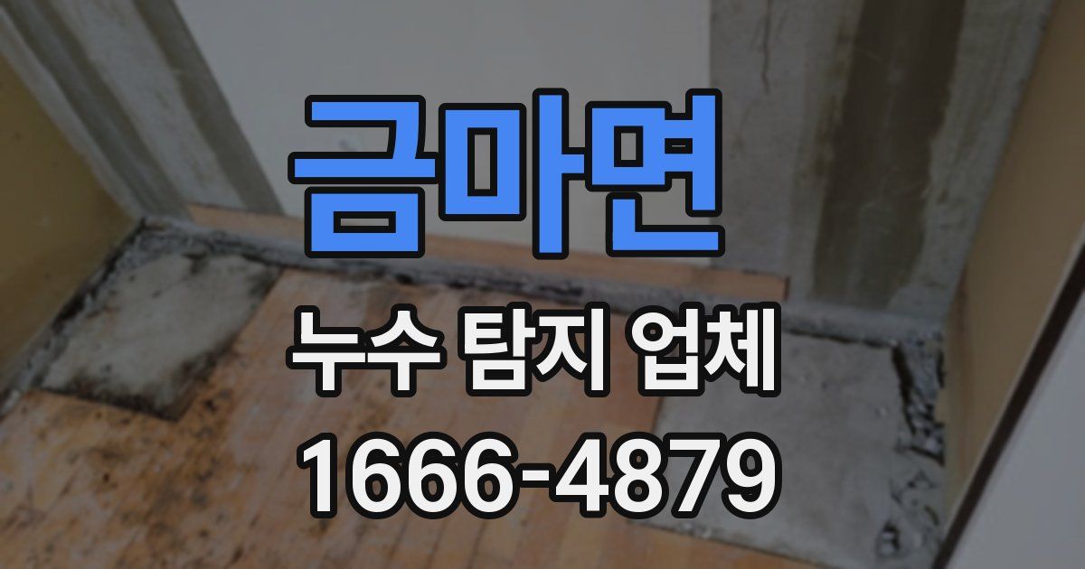 금마면 누수 탐지 업체