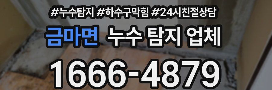 금마면 누수 탐지 업체