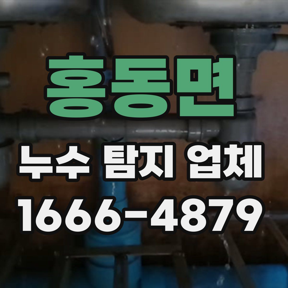 홍동면 누수 탐지 업체