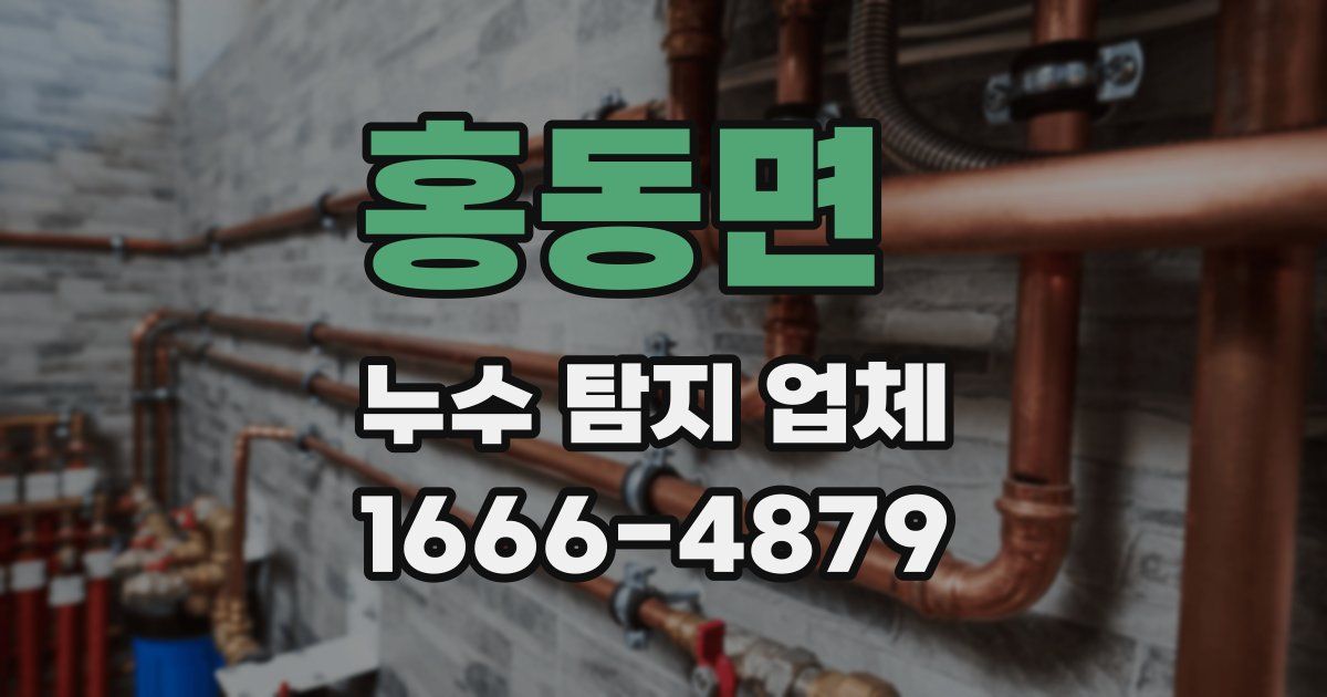 홍동면 누수 탐지 업체