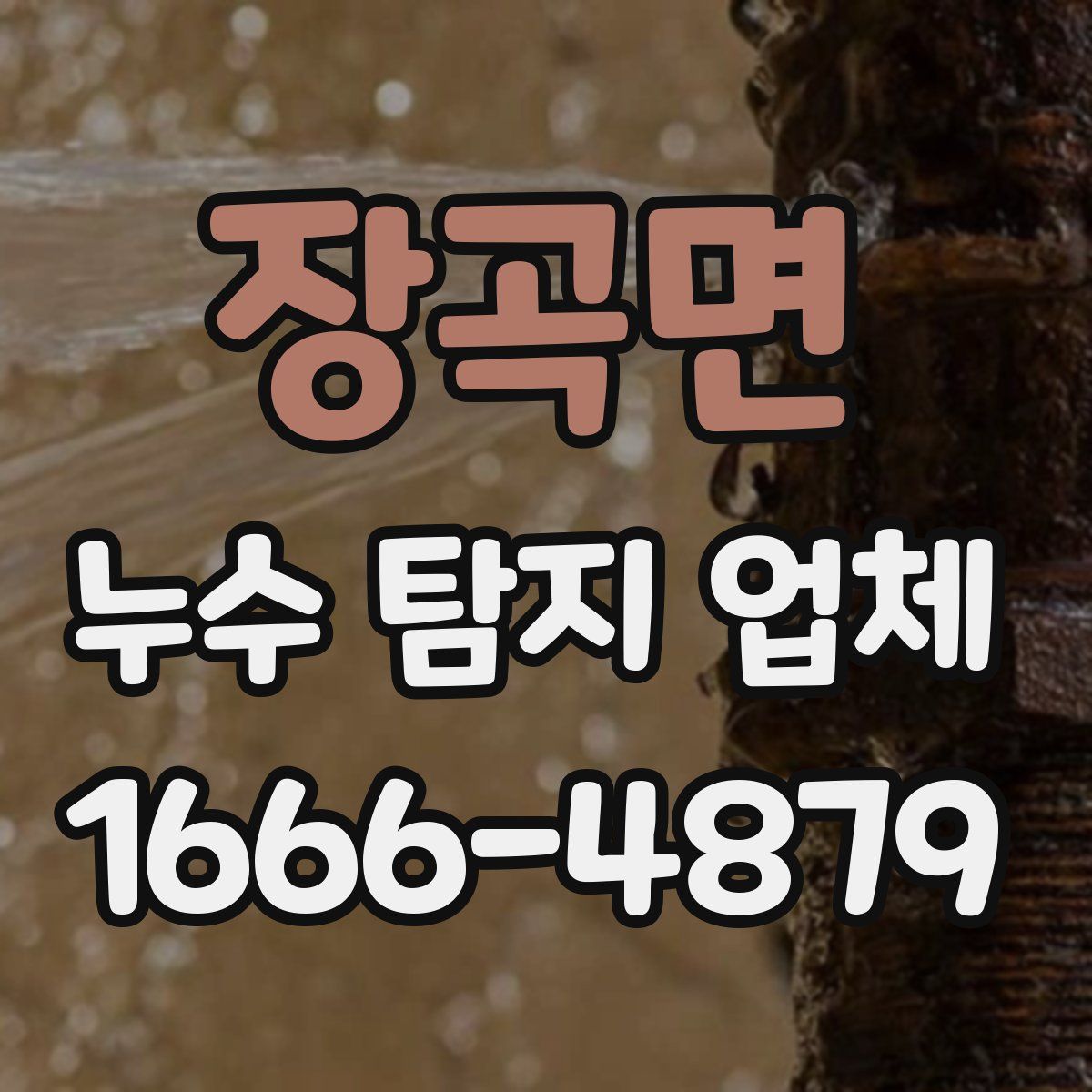 장곡면 누수 탐지 업체