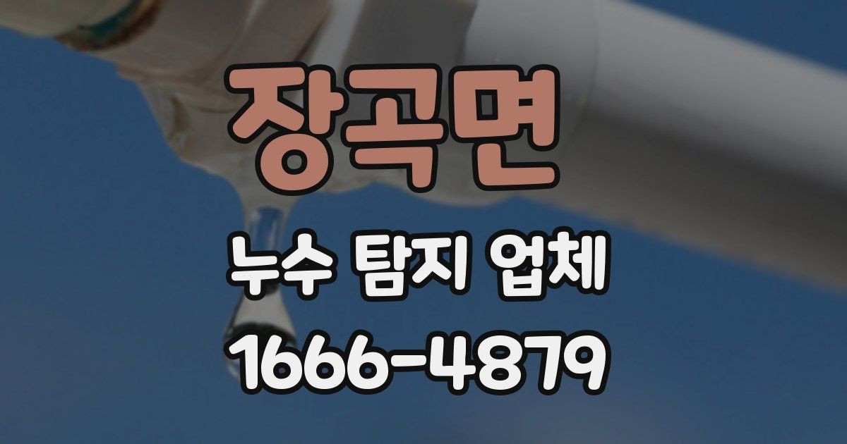 장곡면 누수 탐지 업체