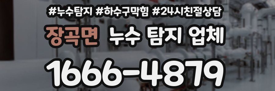 장곡면 누수 탐지 업체