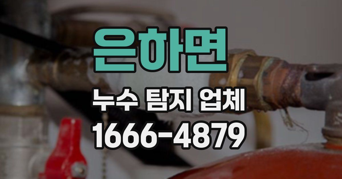 은하면 누수 탐지 업체