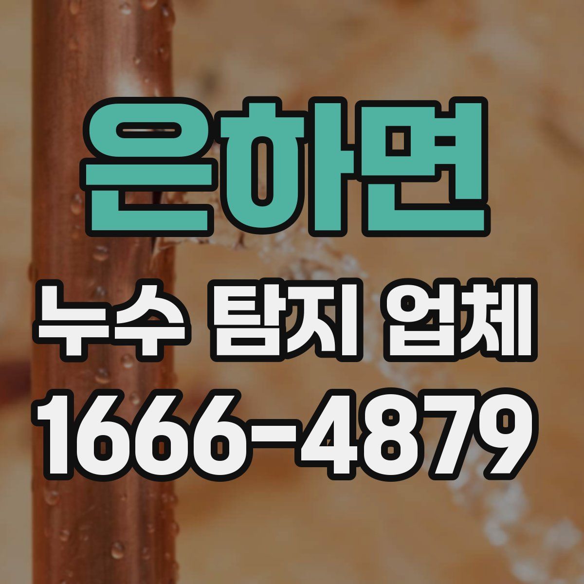 은하면 누수 탐지 업체