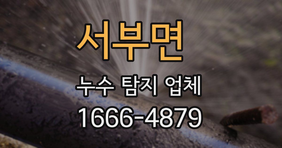 서부면 누수 탐지 업체